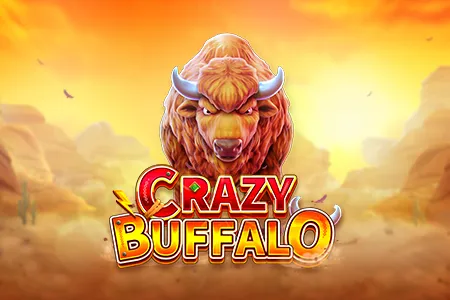 CRAZY BUFFALO