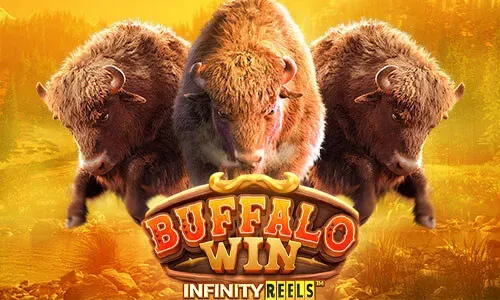 Buffalo Win