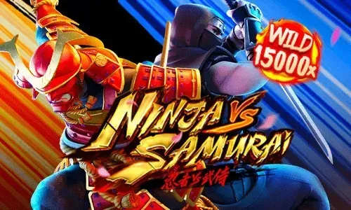 Ninja vs Samurai