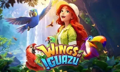 Wings of Iguazu