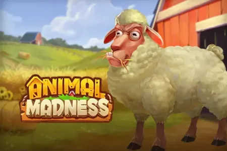 Animal Madness