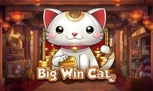 Big Win Cat