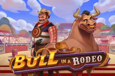 Bull in a Rodeo