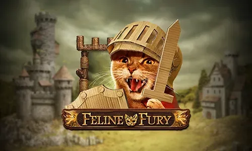 Feline Fury