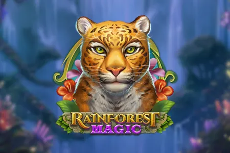 Rainforest Magic