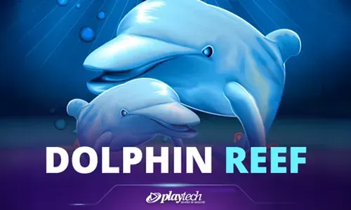Dolphin Reef