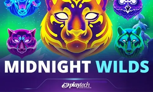 Midnight Wilds