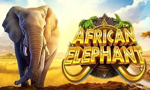 African Elephant