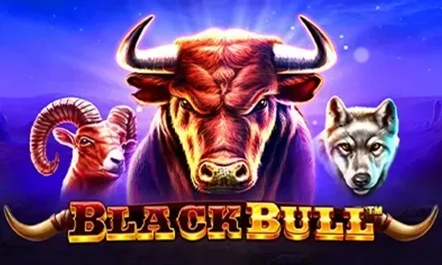 Black Bull