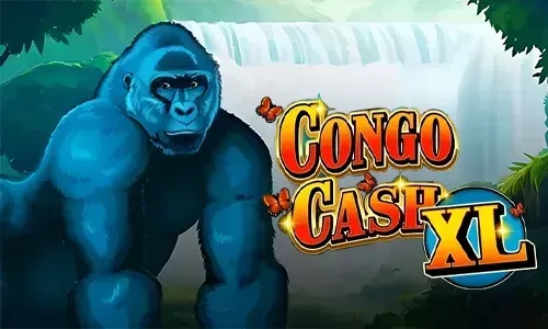 Congo Cash XL