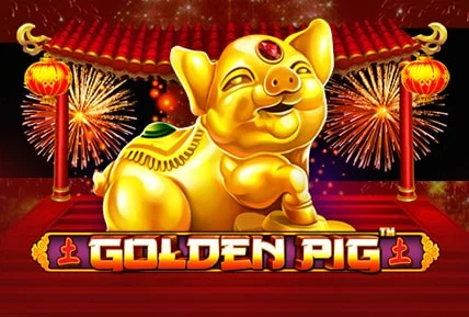 Golden Pig