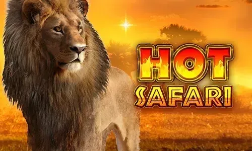 Hot Safari