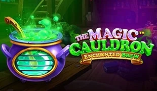 The Magic Cauldron