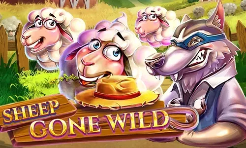 Sheep Gone Wild