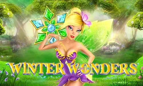 Winter Wonders